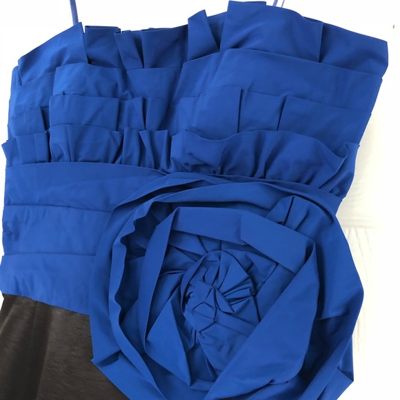 Max & Cleo Royal Blue/Black Cocktail Dress - Picture 3 of 8